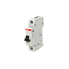 ABB 1P C16 DVÄRGBRYTARE