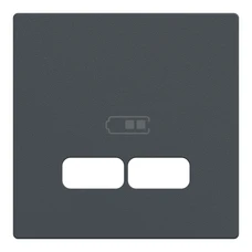 MERTEN ANTRACIT LADDSTATION USB A + C
